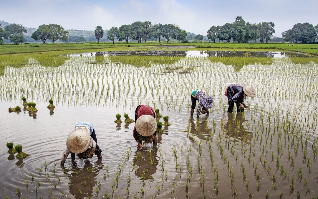 Vietnam Family Tour